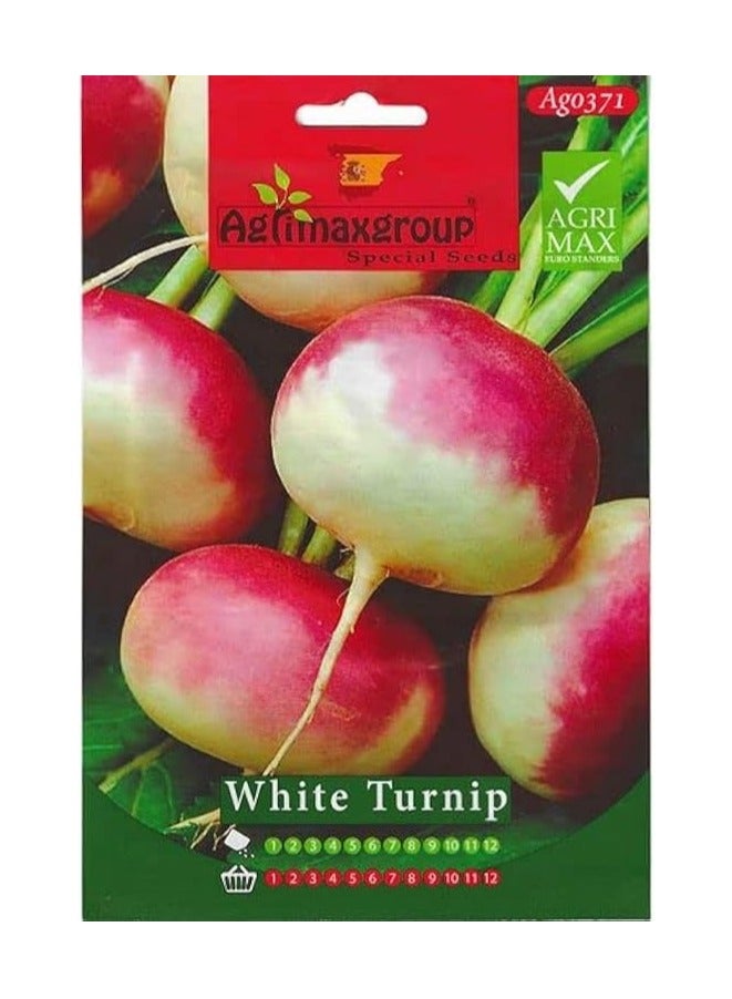 Agrimax White Turnip Premium Quality Seeds by Agrimaxgroup® - Image 1