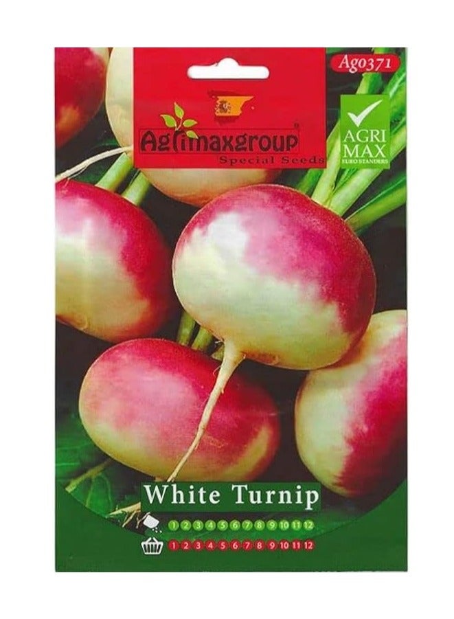 Agrimax White Turnip Premium Quality Seeds by Agrimaxgroup® - Image 2