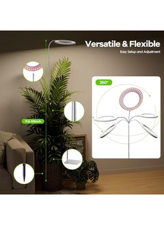 XiuWoo Grow Light for Indoor Plant Full Spectrum Dimmable LED Halo Growing Lights with Stand 18.1-59 inch Height Adjustable 10 Level Table Growth Floor Lamp  - Image 2