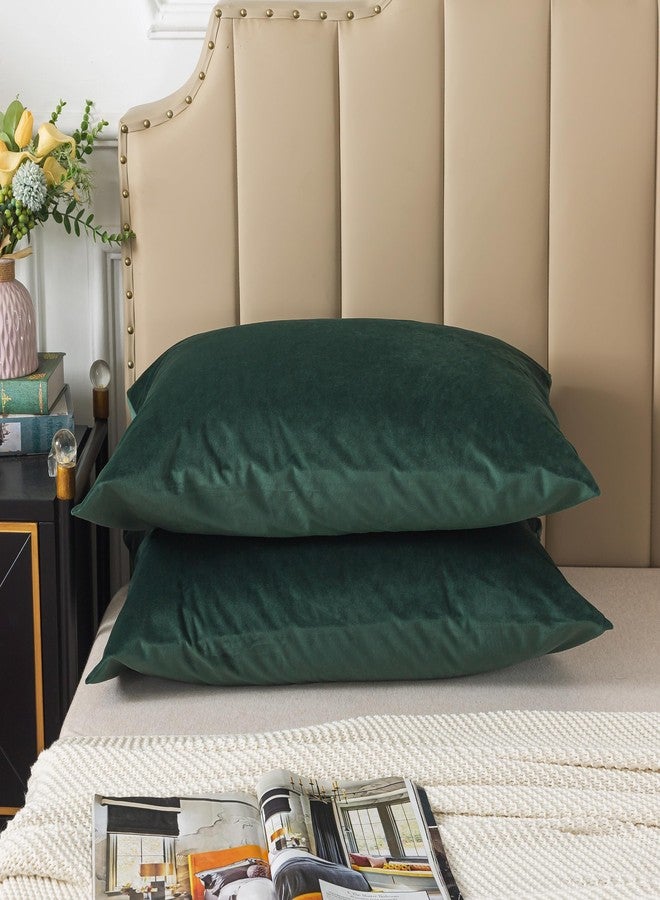 H HOUSEHOLD Set of 2 Velvet Queen Size Pillowcase, Soft and Cozy Luxury Fuzzy Flannel 20x30 Inches Pillow Cover with Zipper (Queen (20 x 30 Inch), Dark Green) - Image 1