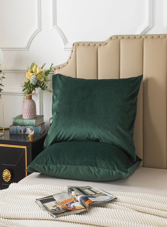 H HOUSEHOLD Set of 2 Velvet Queen Size Pillowcase, Soft and Cozy Luxury Fuzzy Flannel 20x30 Inches Pillow Cover with Zipper (Queen (20 x 30 Inch), Dark Green) - Image 3