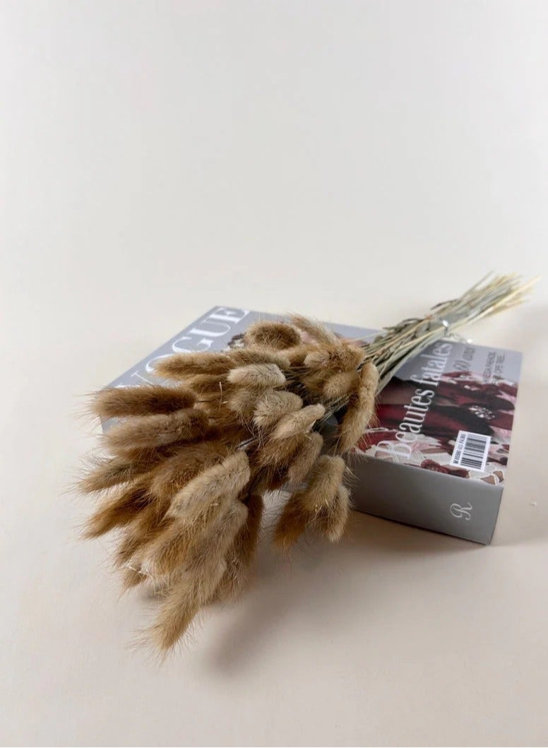 Bunny Tails | Rabbit Tails | Dried Flowers 50 Pieces - Image 3