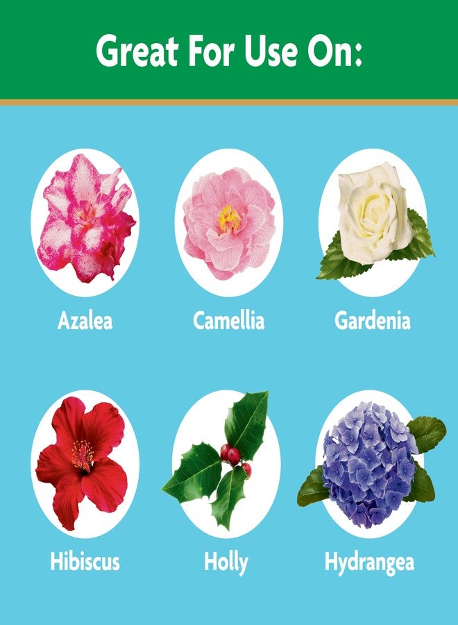ميركل-جرو سماد Miracle-Gro القابل للذوبان في الماء للأزاليا والكاميليا والرودودندرون - سماد للنباتات والزهور المحبة للأحماض، 5 أرطال. - Image 4