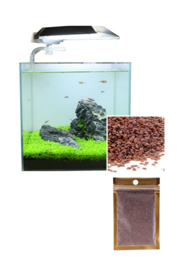 بذور عشب الماء لتزيين المناظر الطبيعية لأحواض السمك، سهلة الزراعة، بذور البستنة، ديكور المنزل 10 جرام - Image 1