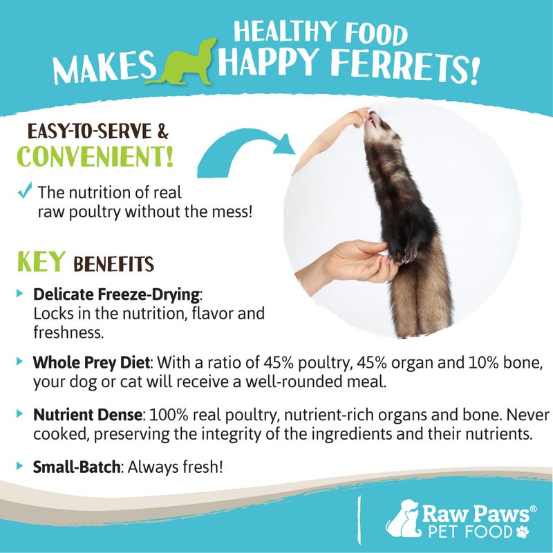 Raw Paws Freeze Dried Ferret Food - Chicken Recipe 16-oz - Made in USA - Grain Free Diet for Small, Adult, Senior & Baby Ferrets - Use as Treats for Rewarding & Training, Ferret Food Dry - Image 5