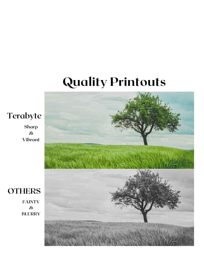 Terabyte CLT407S YELLOW  COMPATIBLE TONER TERABYTE - Image 2