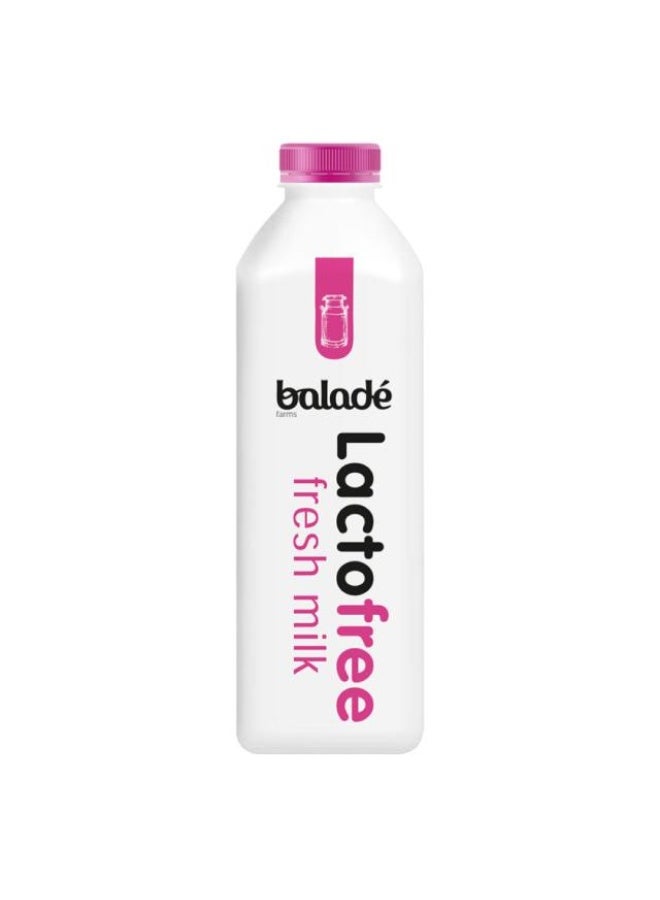 Lactose-free Milk , 1 Litre, UAE