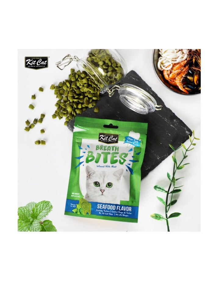 Kit Cat Breath Bites Seafoods Flavor 60g - Image 2