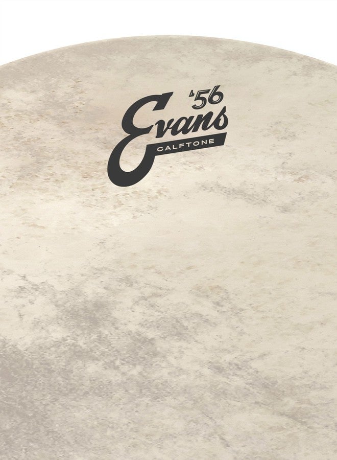 Evans Calftone Bass Drum Head, 20" - Image 2