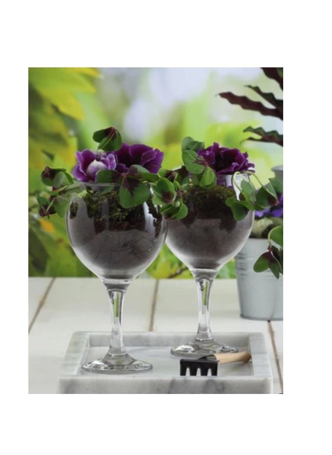 3 Pieces Misket Large Size Goblet Set 645 Ml - Clear