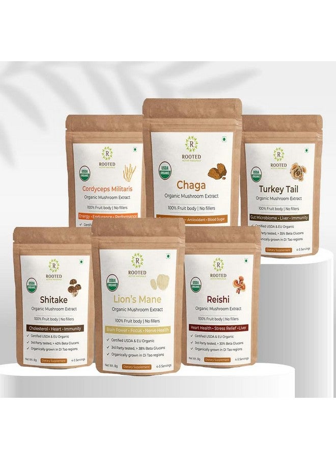 Rooted Active Organic Mushroom Extract Sample Packs, 8g each - Cordyceps Militaris, Chaga, Turkey Tail, Shiitake, Lion's Mane, Reishi