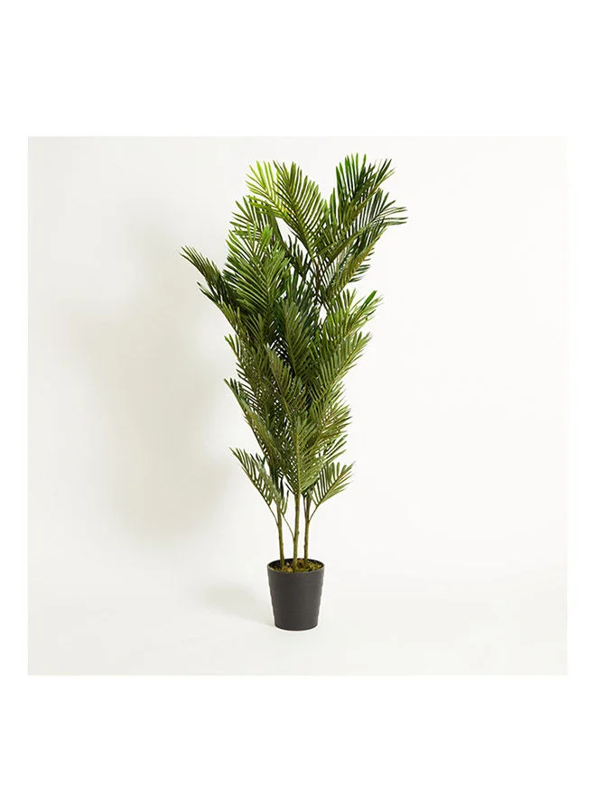 Home Box Cyara Mini Palm Tree with Pot 180 cm