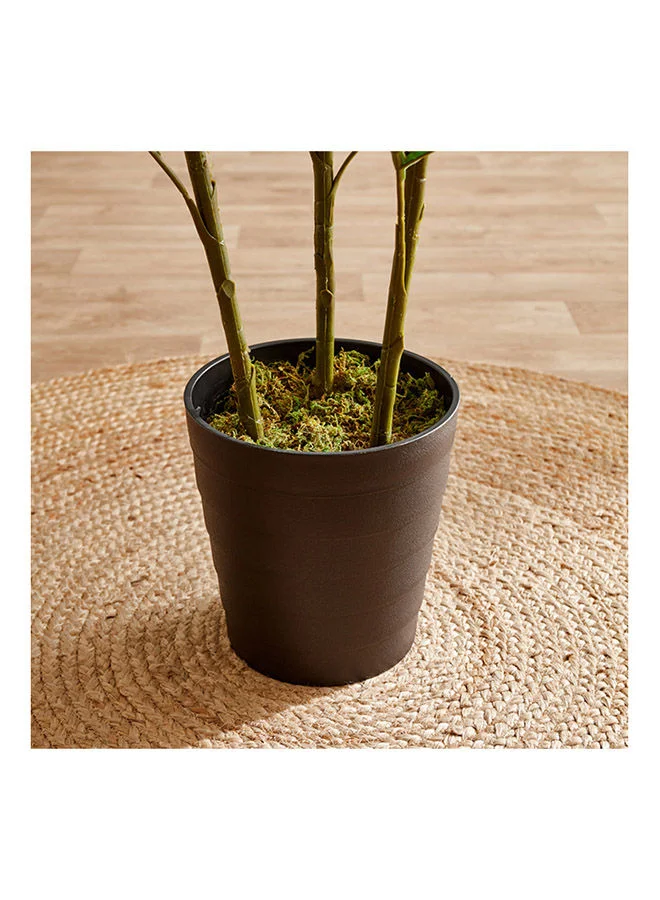 Home Box Cyara Mini Palm Tree with Pot 180 cm