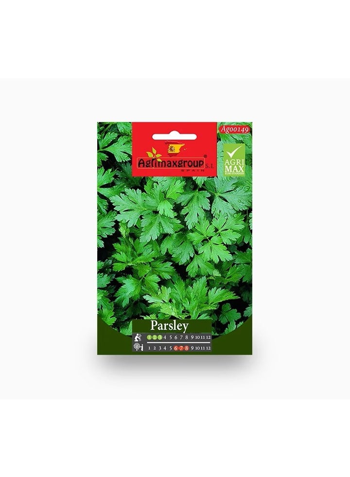 Parsley Seeds
