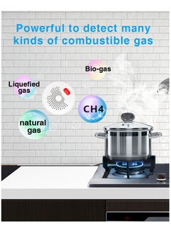 UanTii Smart Natural Gas Sensor Wifi Combustible Household Smart LPG Gas Leakage Detector  - Image 4