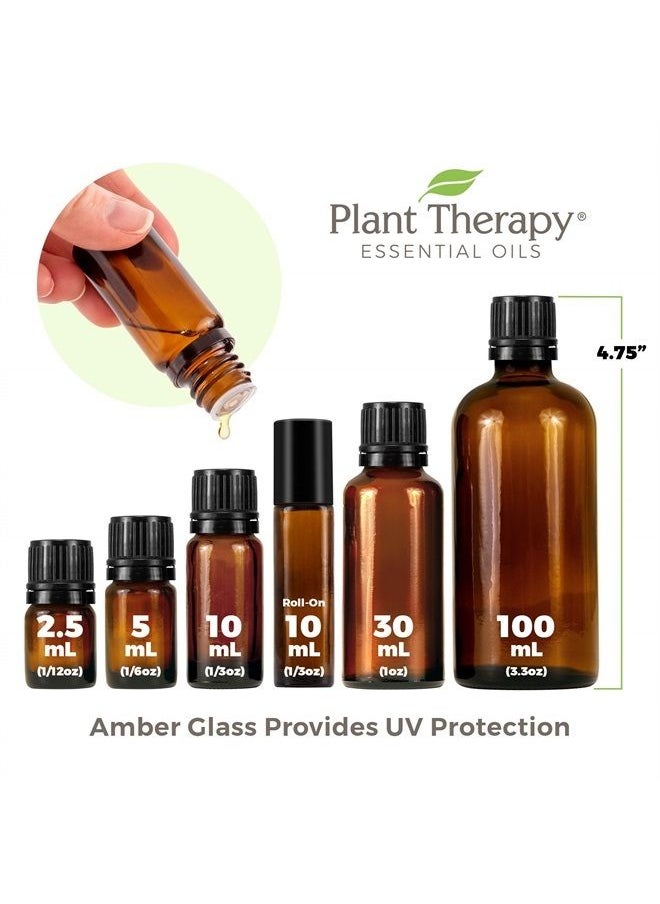 Plant Therapy - Thyme Linalool Essential Oil 10 mL (1/3 oz) 100% Pure, Undiluted, Therapeutic Grade - Image 1