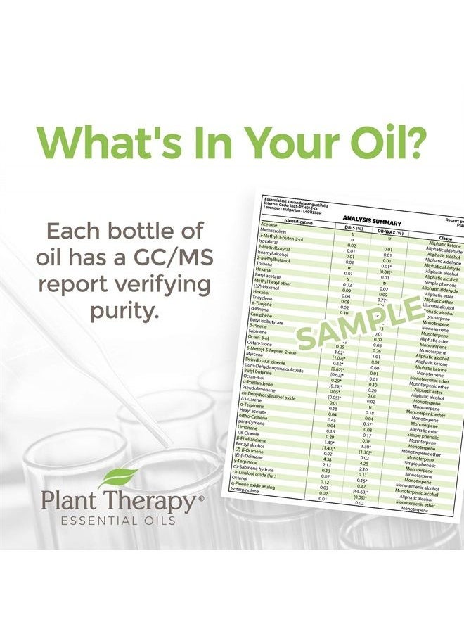 Plant Therapy - Thyme Linalool Essential Oil 10 mL (1/3 oz) 100% Pure, Undiluted, Therapeutic Grade - Image 1