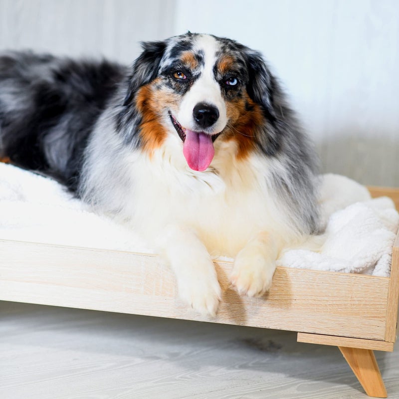 Midlee Raised Wooden Dog Bed Frame- Large - Image 2