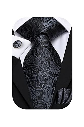 Hi-Tie Silk Paisley Ties for Men Necktie Pocket Square Cufflinks Set Foral Tie Sets Formal Business,Black Paisley - Image 1
