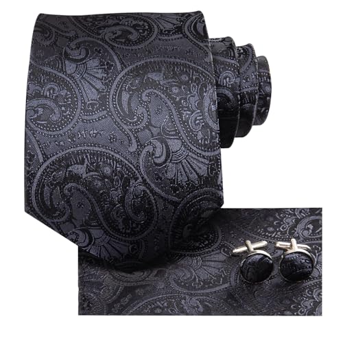 Hi-Tie Silk Paisley Ties for Men Necktie Pocket Square Cufflinks Set Foral Tie Sets Formal Business,Black Paisley - Image 2