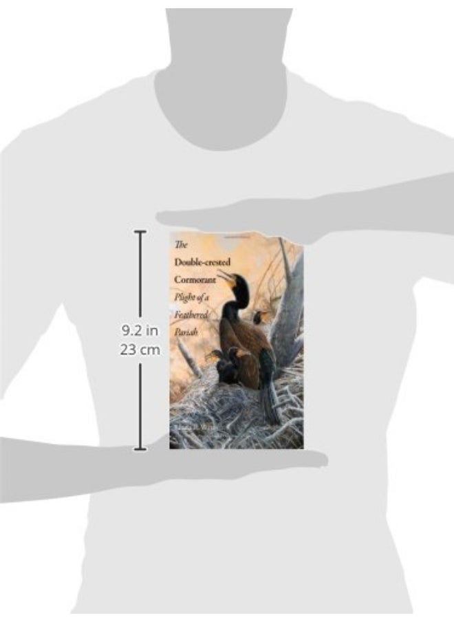 null - The Double-Crested Cormorant: Plight of a Feathered Pariah - Image 1