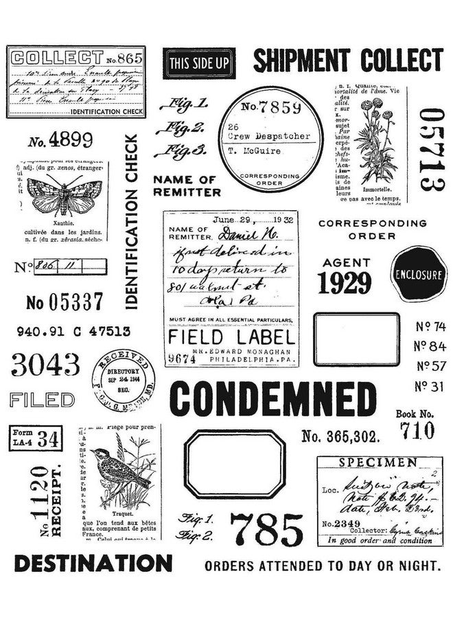 تامبريس أنونمس طوابع تيم هولتز Cling Stamps 7"X8.5" ملاحظات ميدانية - Image 3