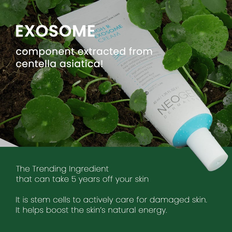DERMALOGY by NEOGENLAB [K-جمال] كريم نيون ديرمالوجي هاي آر إكسوسوم (1.36 أونصة سائلة)/العناية بالبشرة الكورية/ترطيب وتغذية البشرة - Image 4
