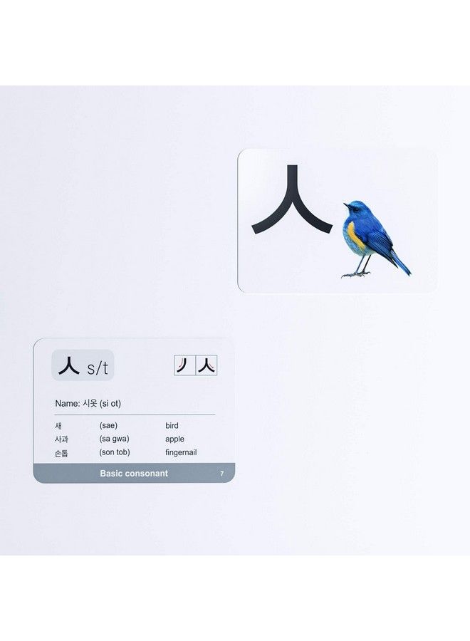 Briston 41 Korean Alphabet Hangul Flash Cards Educational Language Learning Resource With Pictures For Memory & Sight Words Fun Game Play Grade School Classroom Or Homeschool Supplies Briston Brand - Image 4