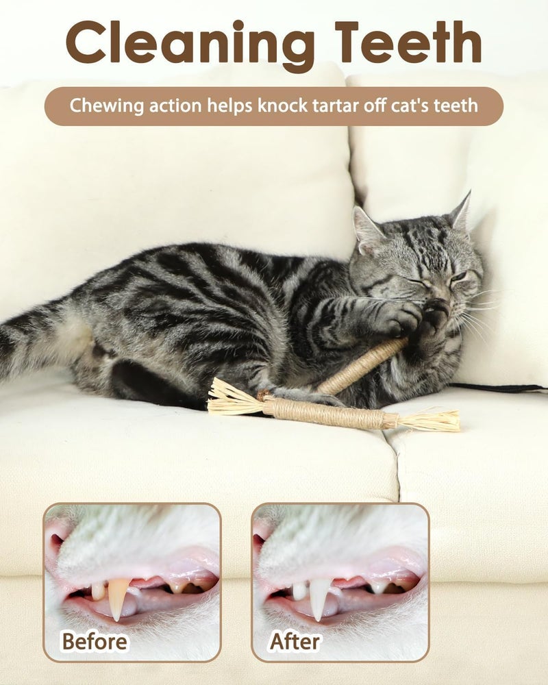 UREVO 3 PCS Natural Silvervine Sticks Cat Toy - Catnip Dental Chew Toy for Kittens - Image 4