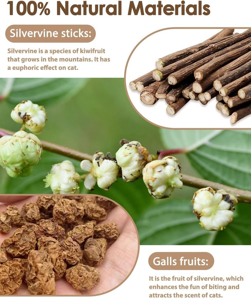 UREVO 3 PCS Natural Silvervine Sticks Cat Toy - Catnip Dental Chew Toy for Kittens - Image 2