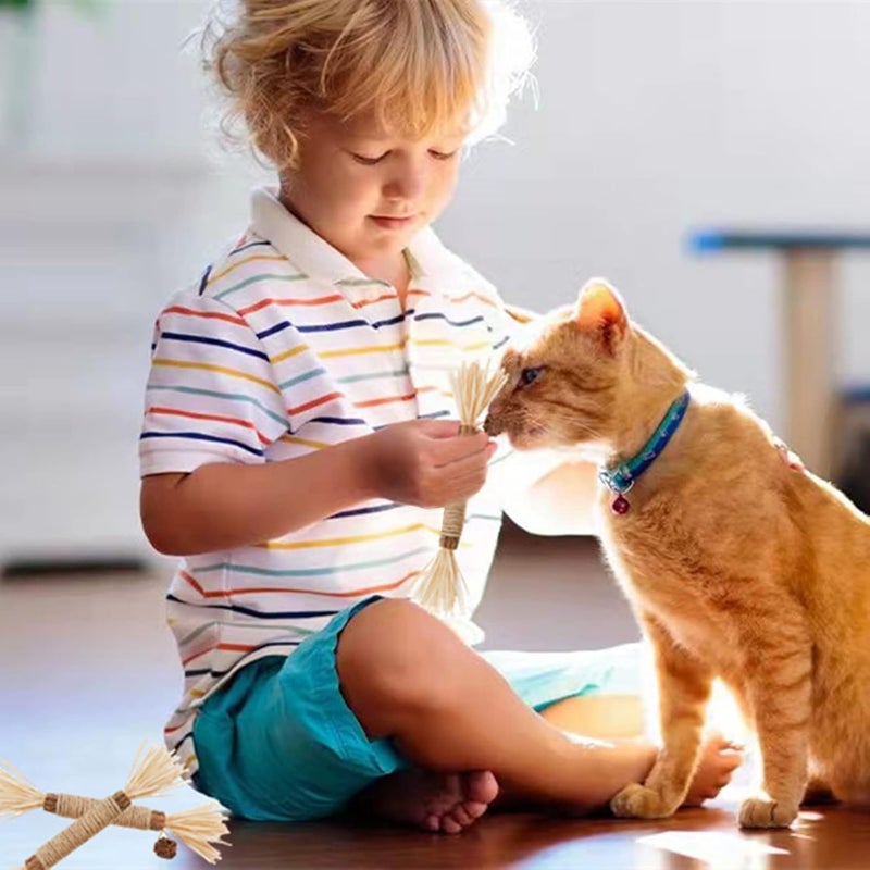 UREVO 3 PCS Natural Silvervine Sticks Cat Toy - Catnip Dental Chew Toy for Kittens - Image 5