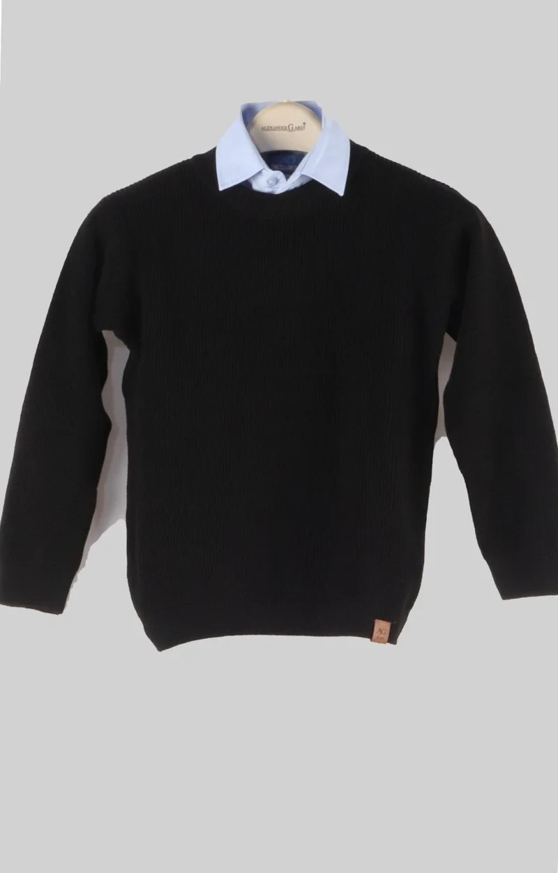 Alexander Gardi Crew Neck Knitwear Sweater (C23-7100)