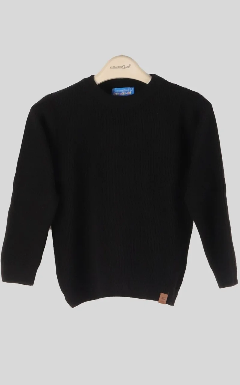Alexander Gardi Crew Neck Knitwear Sweater (C23-7100)