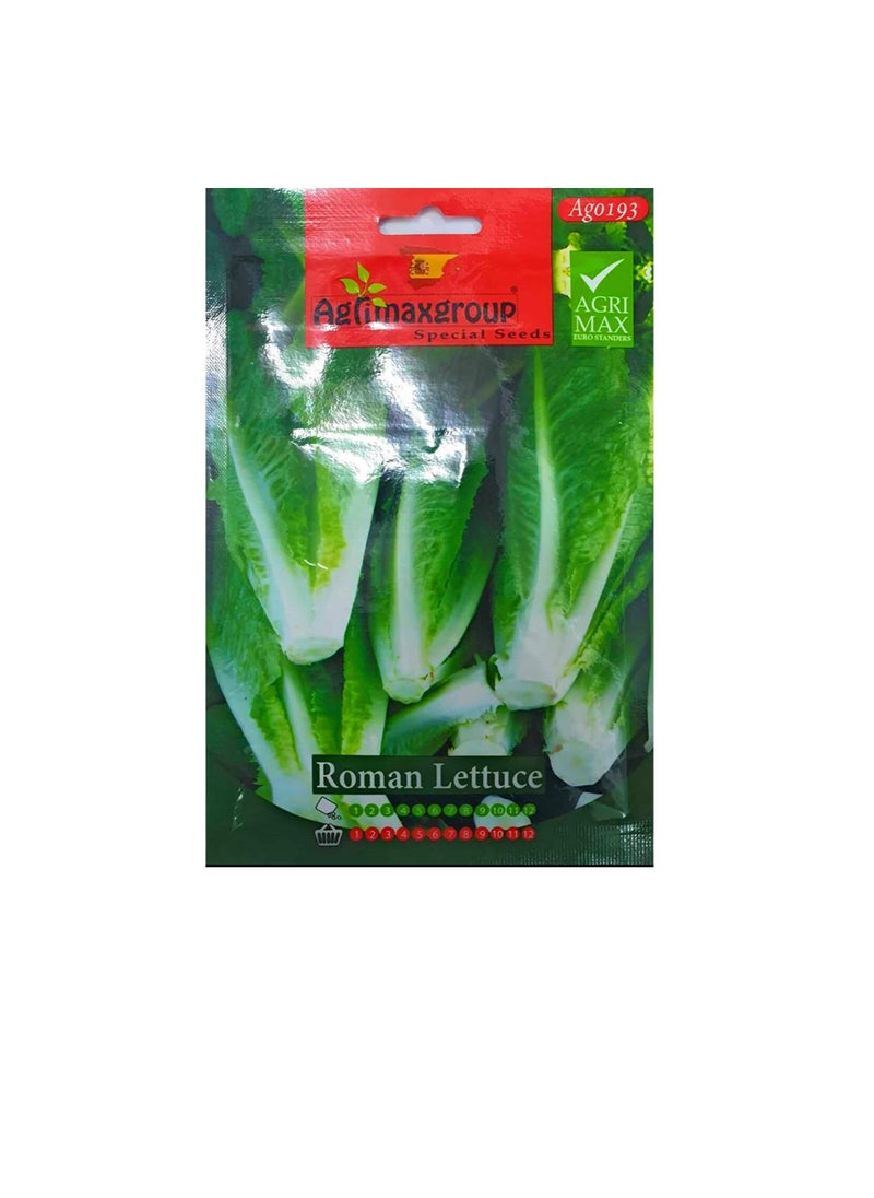 Agrimax - Agrimax Roman Lettuce Seeds - Image 1