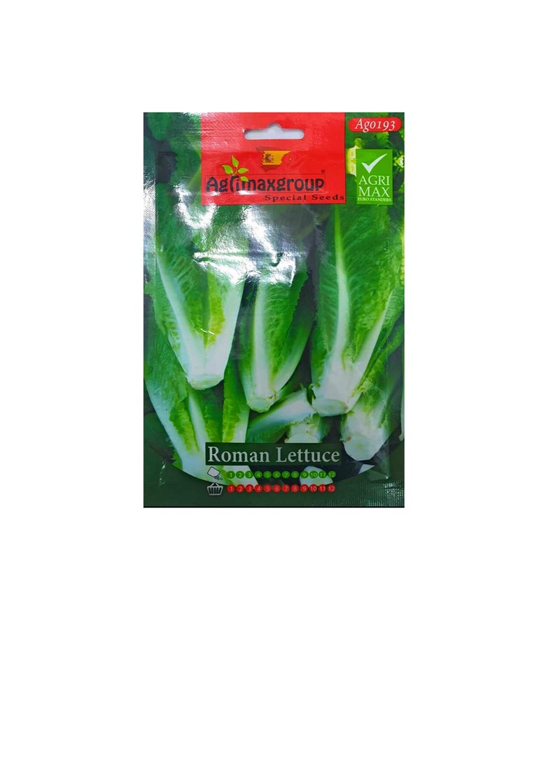 Agrimax - Agrimax Roman Lettuce Seeds - Image 1