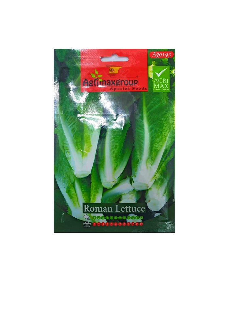 Agrimax - Agrimax Roman Lettuce Seeds - Image 1