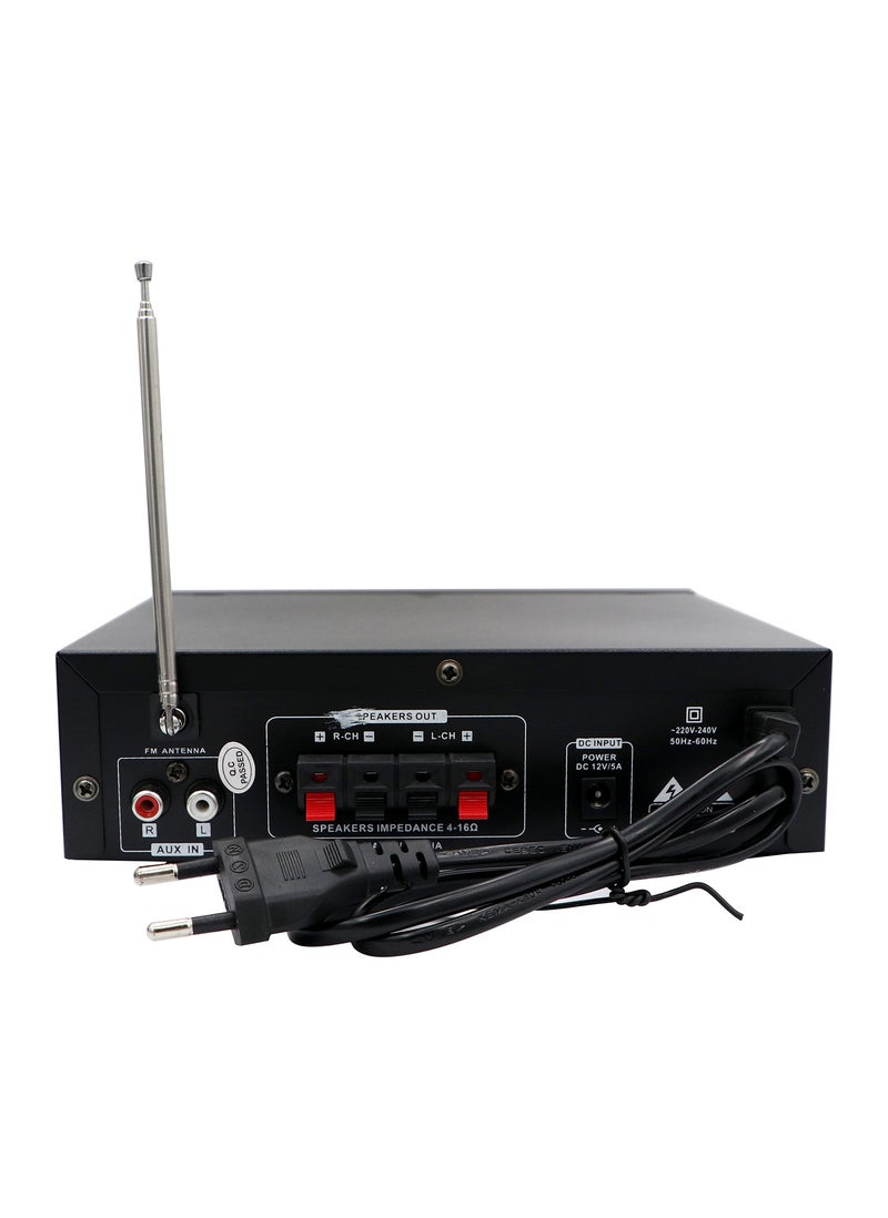 Stereo Audio Karaoke Reverberation Power Amplifier, Gold/Black - Image 4