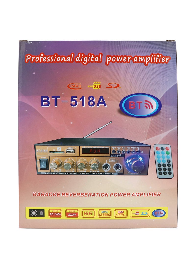 Stereo Audio Karaoke Reverberation Power Amplifier, Gold/Black - Image 5