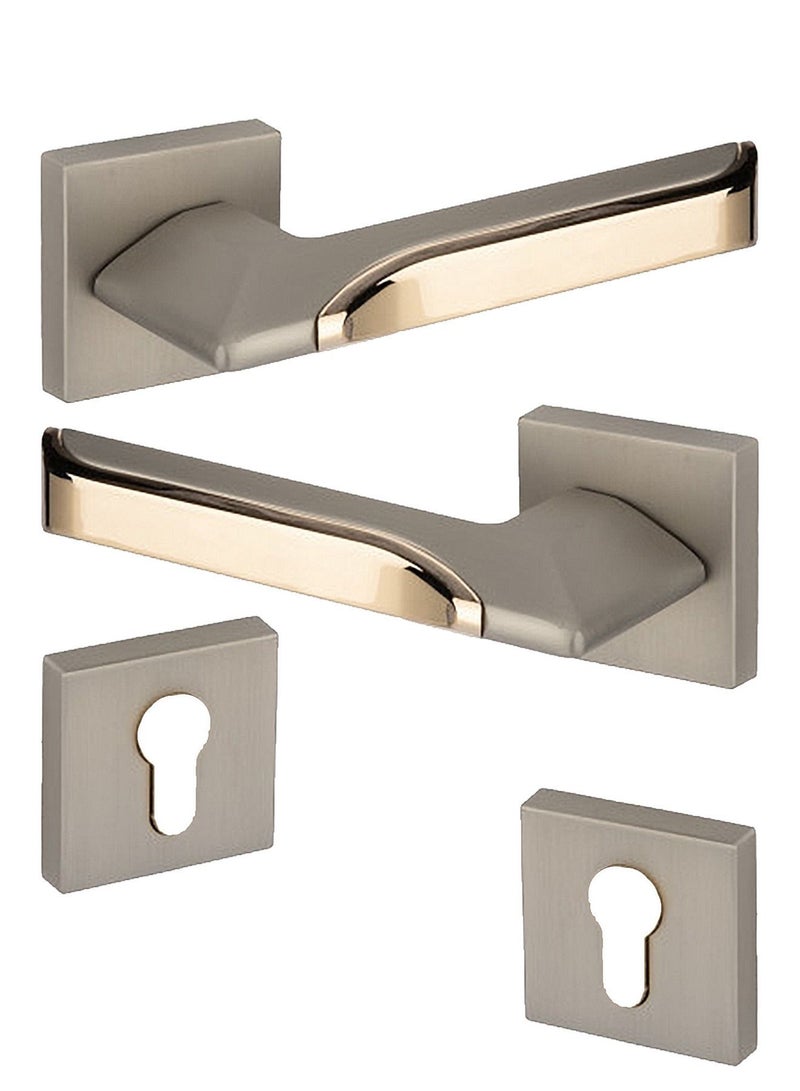 Heavy Door Handles Pair Silver / Golden