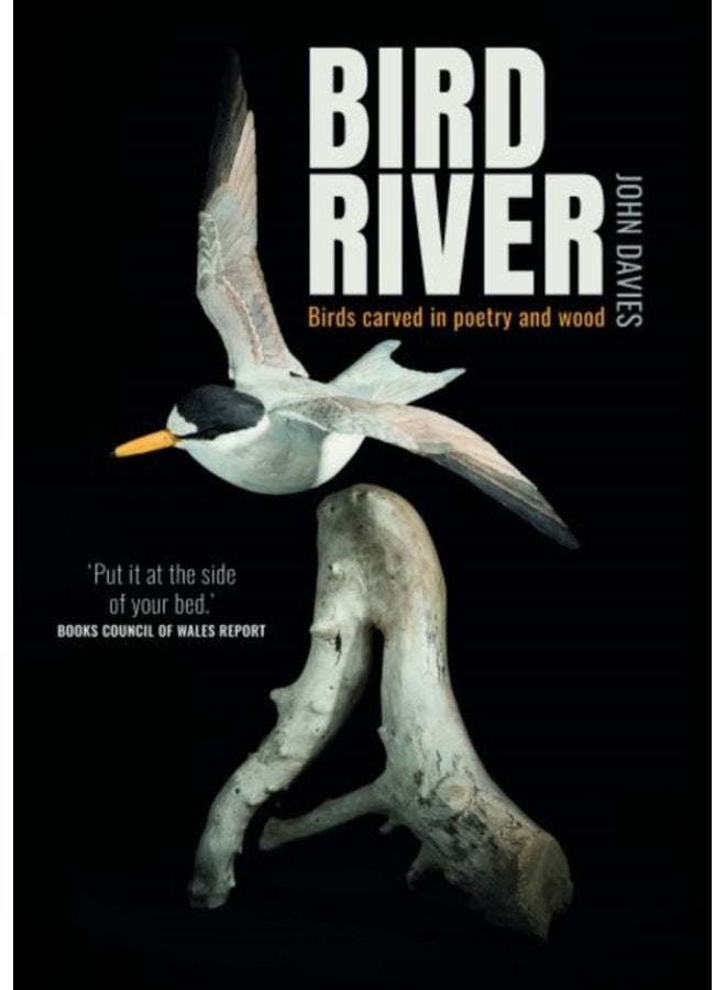 Bird River - Paperback