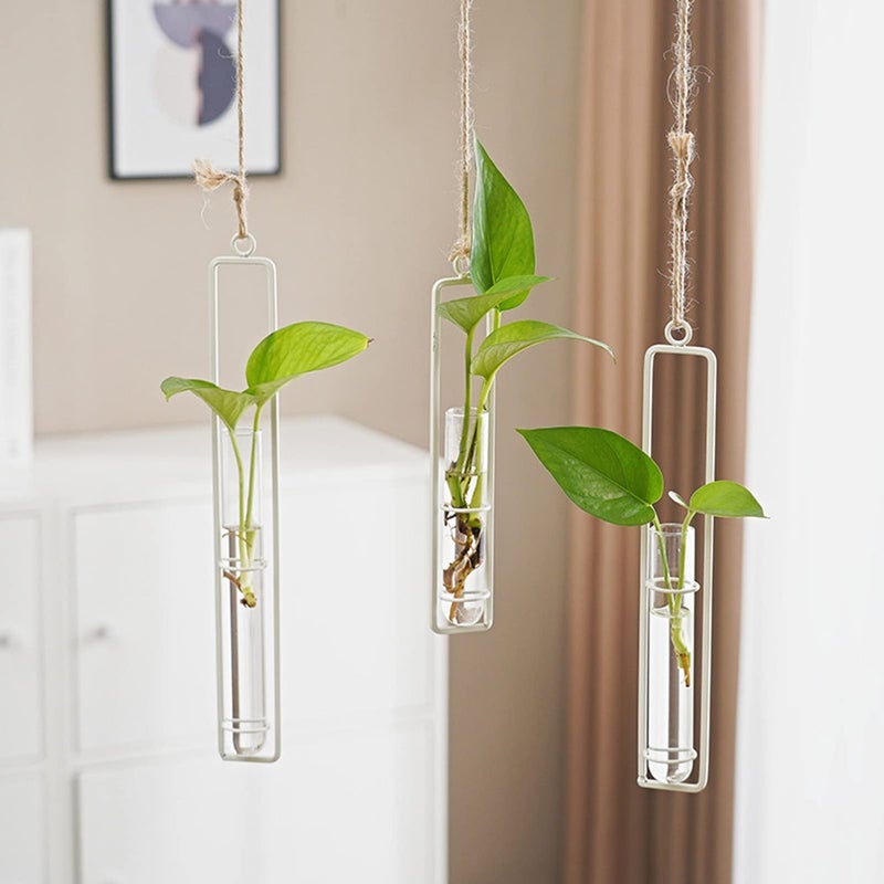 AQRICHFOX 3 Pieces Hanging Plant Glass Test Tubes Hydroponic Vase Planters WallMounted Terrarium Container for Indoor Outdoor Home Decoration White