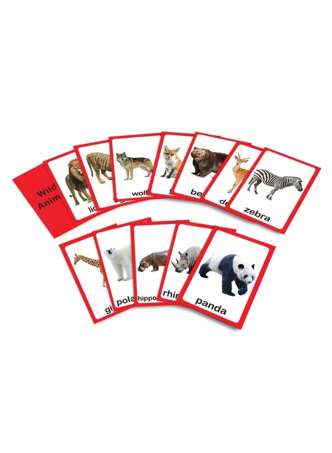 My First Flash Cards Animal And Birds : 30 Early Learning Flash Cards For Kids  - Image 4