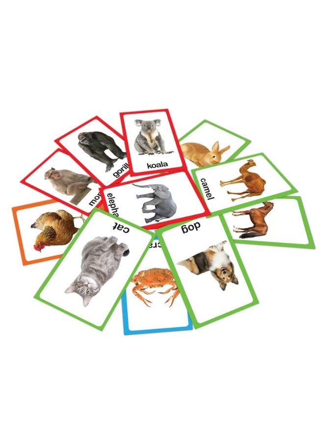 My First Flash Cards Animal And Birds : 30 Early Learning Flash Cards For Kids  - Image 5