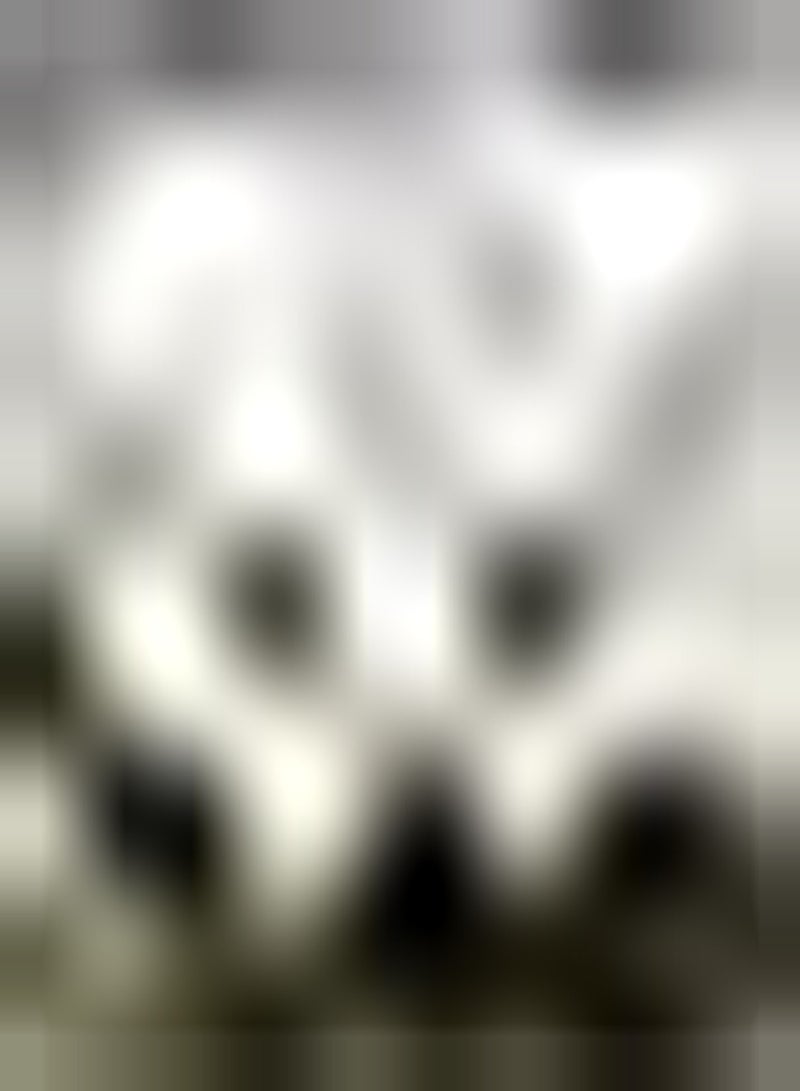 GGOOT 2pcs Witte amaryllisbollen geweldig voor de Winter unieke zeldzame bollen vrij exotisch geschikt voor Beginners gemakkelijk te beheren en te onderhouden - Image 1