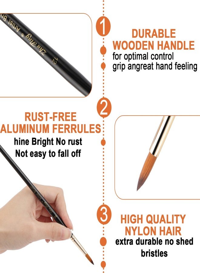 Prasacco 12 Pcs Round Paint Brushes Watercolor Brushes Round Tip Artist Painting Brushes Professional Nylon Detail Paint Brush for Watercolor Acrylic Ink Gouache Oil Tempera Painting - Image 3