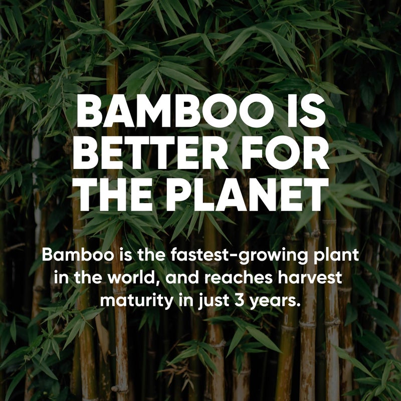 Save Trees Bamboo Facial Tissues - 12 Boxes of Eco-Friendly, 3-Ply Hypoallergenic Tissues, 90 Sheets per Box, FSC Certified, Plastic-Free Packaging, Soft & Gentle for Home Use - Image 4