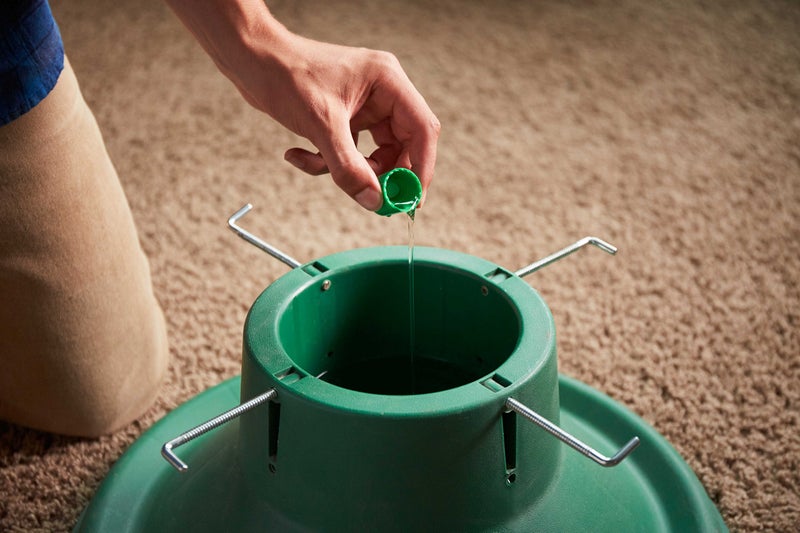Miracle-Gro for Christmas Trees - Image 4