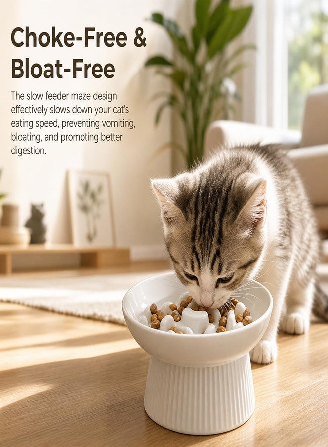 Dyienocs Ceramic Elevated Slow Feeder Cat Bowl,Anti Vomiting & Choking Cat Slow Feeder,Raised Heart Shaped Cute Cat Bowl Slow Feeder for Dry and Wet Food, Spill-Proof and Easy to Clean-White - Image 2