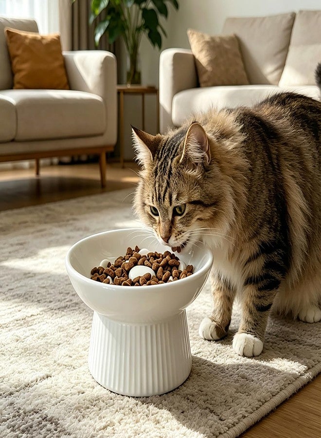 Dyienocs Ceramic Elevated Slow Feeder Cat Bowl,Anti Vomiting & Choking Cat Slow Feeder,Raised Heart Shaped Cute Cat Bowl Slow Feeder for Dry and Wet Food, Spill-Proof and Easy to Clean-White - Image 4