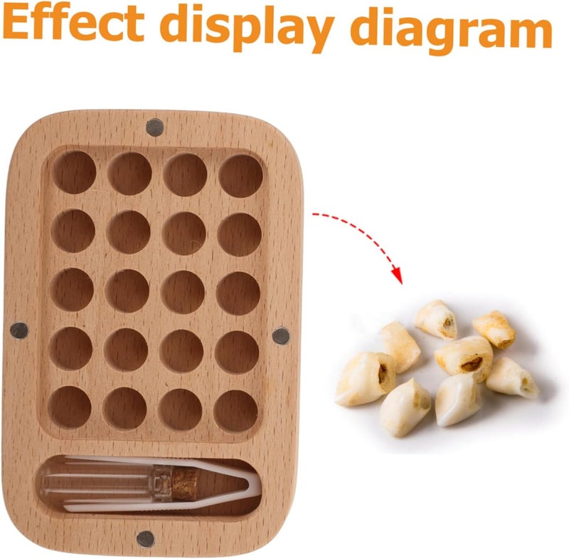 Daily life matching design Toddmomy Baby Keepsake Tooth Holder Wooden Tooth Box Boys and Girls Cute and Design Certified local stock Low dust buildup Wide range expanded design Land transit & shipment compatible Coast & inland available Trendy widespread design General purpose design Major city pickup option Fast & slow shipment compatible Stable base Full land route delivery Tiered cost purchase alternatives Natural tone color options Polished safe edge Storage transit efficiency build Individual group scene compatible Multi-price design picks Month-round consistent deliver Economical varied sizing picks Bulk storage easy optimized build General compatible practical design Efficiency boosted construction Rack sorted local inventory Global assorted color picks - Image 4
